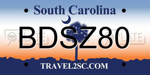 BDSZ80 South Carolina License Plate