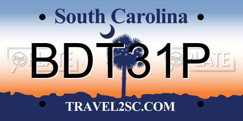 BDT31P South Carolina License Plate