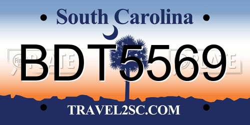 BDT5569 South Carolina License Plate