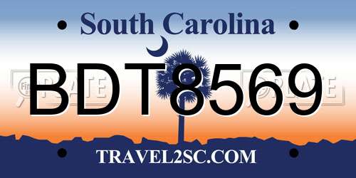 BDT8569 South Carolina License Plate
