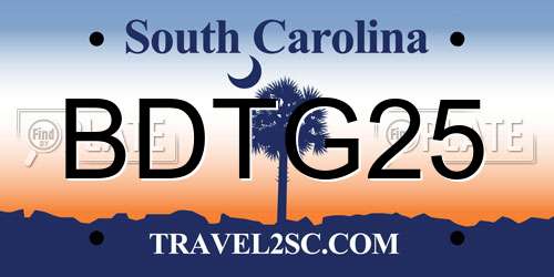 BDTG25 South Carolina License Plate