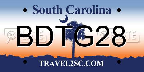 BDTG28 South Carolina License Plate