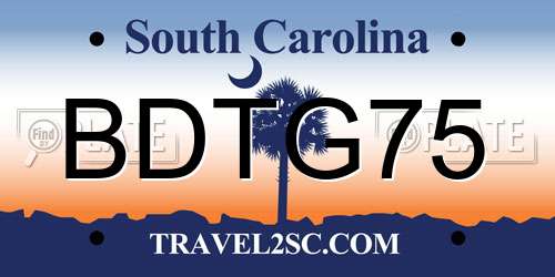 BDTG75 South Carolina License Plate