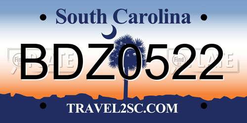 BDZ0522 South Carolina License Plate