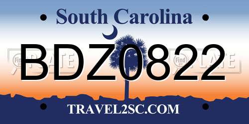 BDZ0822 South Carolina License Plate