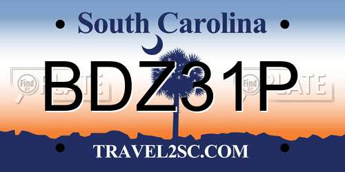 BDZ31P South Carolina License Plate