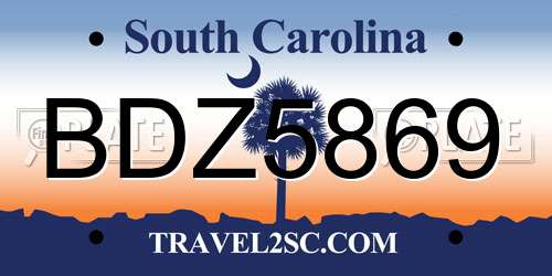 BDZ5869 South Carolina License Plate