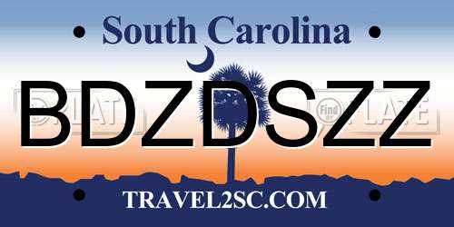 BDZDSZZ South Carolina License Plate