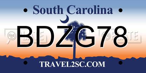 BDZG78 South Carolina License Plate