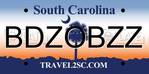 BDZOBZZ South Carolina License Plate