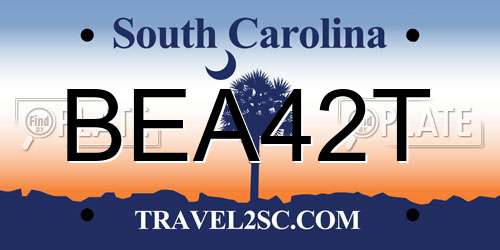BEA42T South Carolina License Plate
