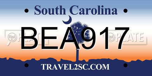 BEA917 South Carolina License Plate