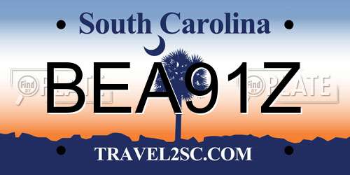 BEA91Z South Carolina License Plate