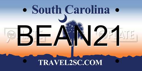 BEAN21 South Carolina License Plate