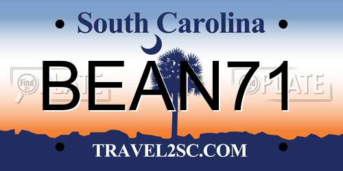 BEAN71 South Carolina License Plate