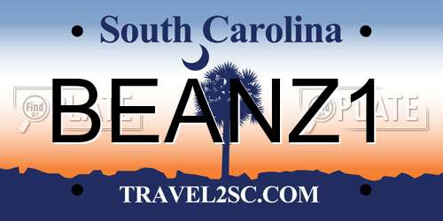 BEANZ1 South Carolina License Plate