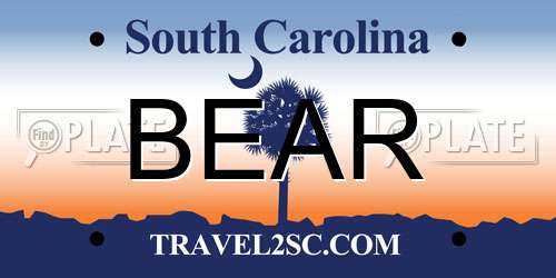 BEAR South Carolina License Plate