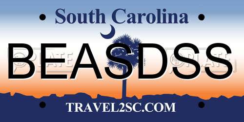BEASDSS South Carolina License Plate