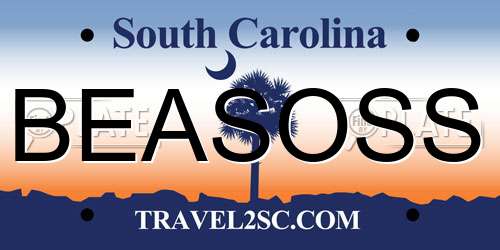 BEASOSS South Carolina License Plate