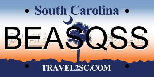 BEASQSS South Carolina License Plate