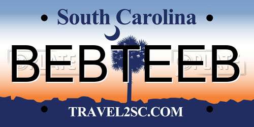 BEBTEEB South Carolina License Plate