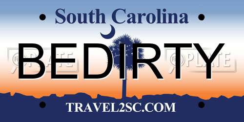 BEDIRTY South Carolina License Plate