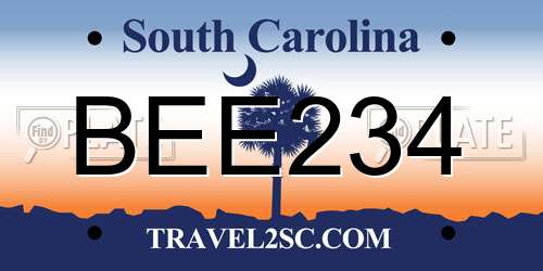 BEE234 South Carolina License Plate