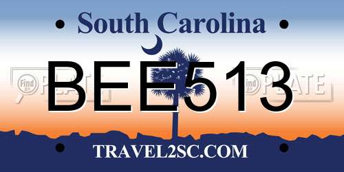 BEE513 South Carolina License Plate