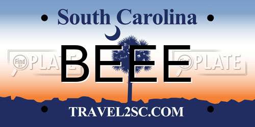 BEEE South Carolina License Plate