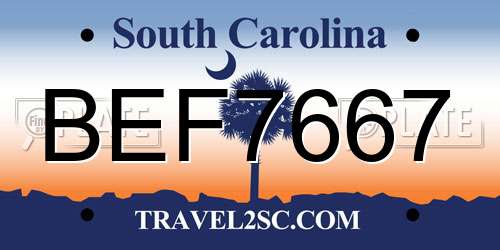 BEF7667 South Carolina License Plate