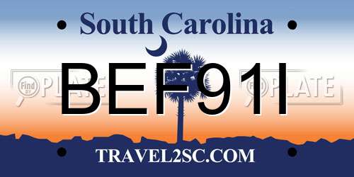 BEF91I South Carolina License Plate
