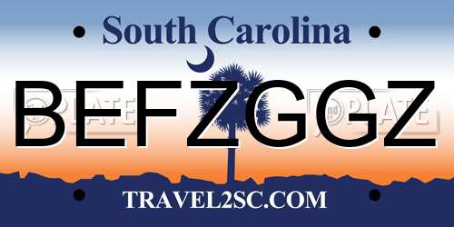 BEFZGGZ South Carolina License Plate