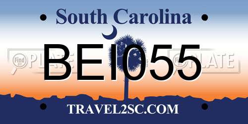 BEI055 South Carolina License Plate