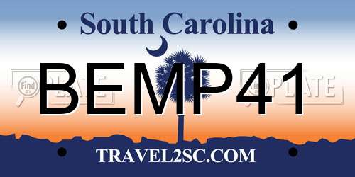 BEMP41 South Carolina License Plate