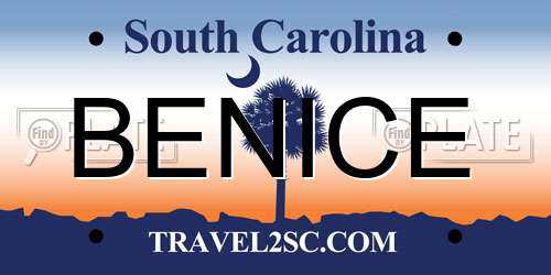 BENICE South Carolina License Plate