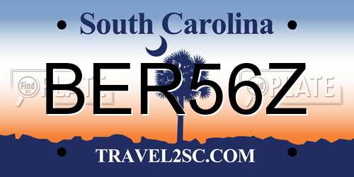 BER56Z South Carolina License Plate