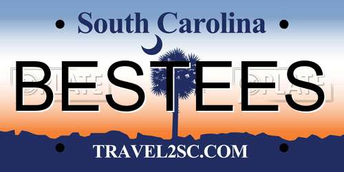 BESTEES South Carolina License Plate