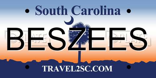 BESZEES South Carolina License Plate