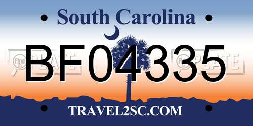 BF04335 South Carolina License Plate