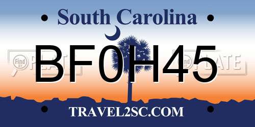 BF0H45 South Carolina License Plate