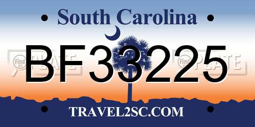 BF33225 South Carolina License Plate