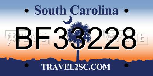 BF33228 South Carolina License Plate