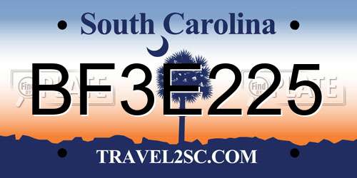 BF3E225 South Carolina License Plate