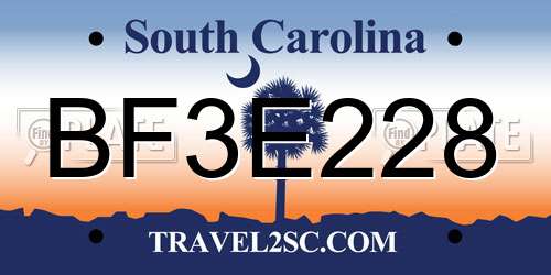 BF3E228 South Carolina License Plate