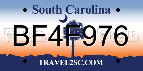 BF4F976 South Carolina License Plate
