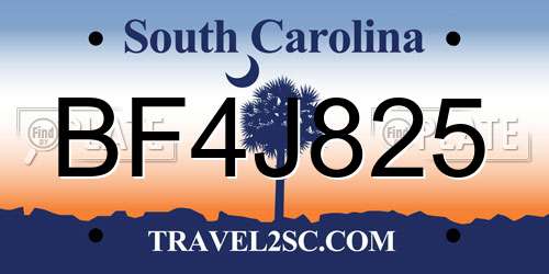 BF4J825 South Carolina License Plate