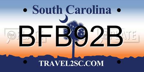 BFB92B South Carolina License Plate