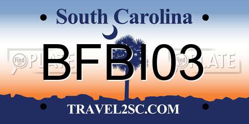 BFBI03 South Carolina License Plate