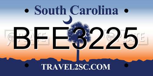 BFE3225 South Carolina License Plate
