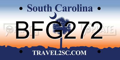 BFG272 South Carolina License Plate